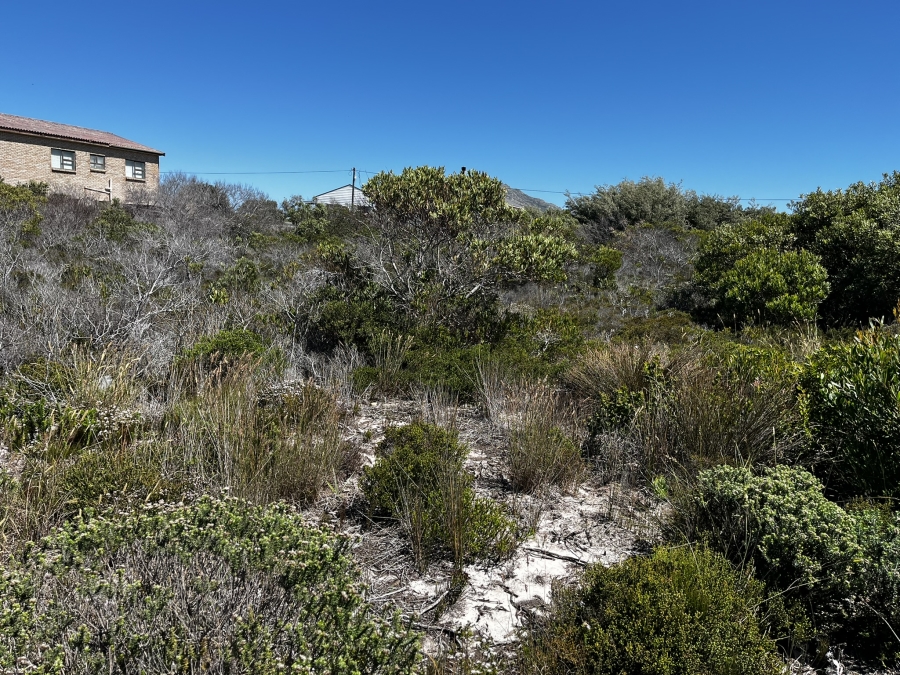 0 Bedroom Property for Sale in Bettys Bay Western Cape